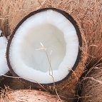 NOIX DE COCO