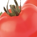 TOMATE